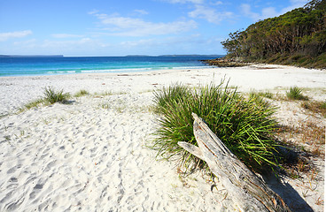 Image showing Unspoilt natural beach Greenfields Jervis Bay