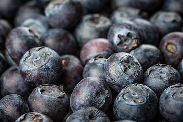 Image showing Blueberries background