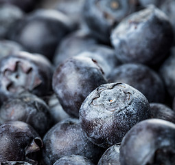 Image showing Blueberries background