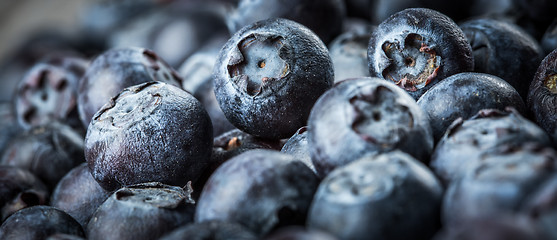 Image showing Blueberries background