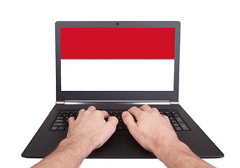 Image showing Hands working on laptop, Indonesia