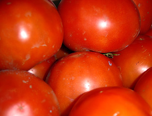 Image showing Natural red tomatoes