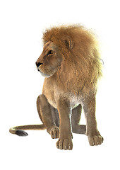 Image showing Lion