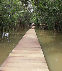 Image showing wooden bridge