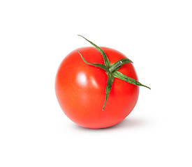 Image showing Single Fresh Red Tomato With Green Stem Rotated