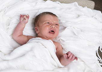 Image showing infant cries