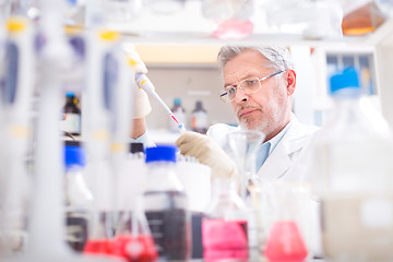 Image showing Life scientist researching in the laboratory.