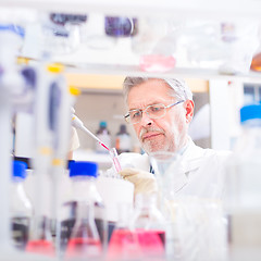 Image showing Life scientist researching in the laboratory.