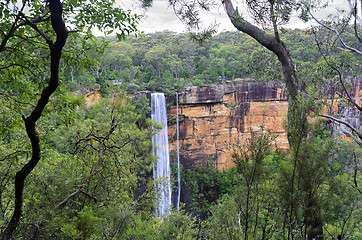 Image showing Australian bush view of Fitzory Falls