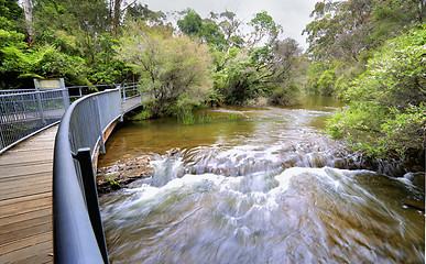 Image showing Fast flowing water at the approach to Fitzroy Falls Australia