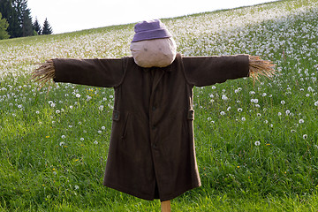 Image showing Scarecrow on a meadow