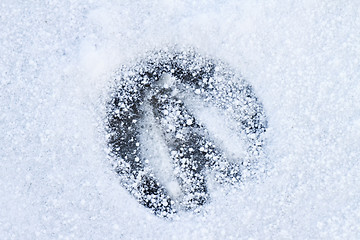 Image showing Footprint of a Horse in Snow