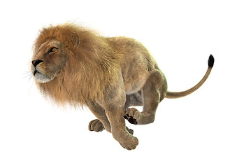 Image showing Jumping Lion