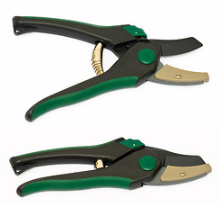 Image showing Secateurs.