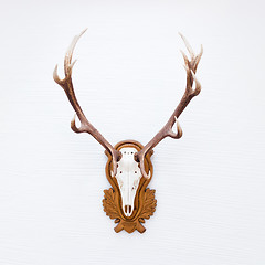 Image showing Antlers of a huge stag on white wall.