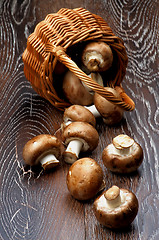 Image showing Portabello Mushroom