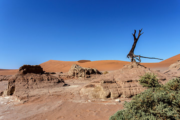 Image showing Sossusvlei beautiful landscape of death valley, namibia