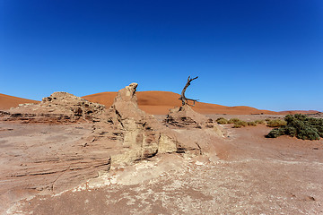 Image showing Sossusvlei beautiful landscape of death valley, namibia