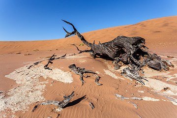 Image showing Sossusvlei beautiful landscape of death valley, namibia