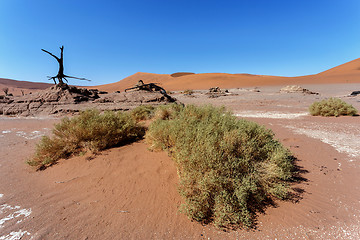 Image showing Sossusvlei beautiful landscape of death valley, namibia