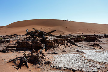 Image showing Sossusvlei beautiful landscape of death valley, namibia