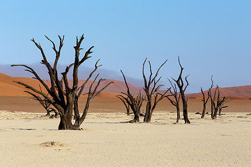 Image showing Sossusvlei beautiful landscape of death valley, namibia