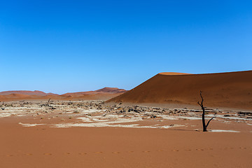 Image showing Sossusvlei beautiful landscape of death valley, namibia