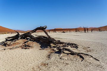 Image showing Sossusvlei beautiful landscape of death valley, namibia