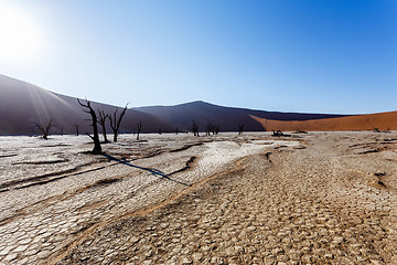 Image showing Sossusvlei beautiful landscape of death valley, namibia