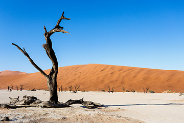 Image showing Sossusvlei beautiful landscape of death valley, namibia