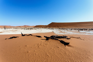 Image showing Sossusvlei beautiful landscape of death valley, namibia