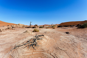 Image showing Sossusvlei beautiful landscape of death valley, namibia