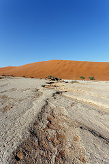 Image showing Sossusvlei beautiful landscape of death valley, namibia