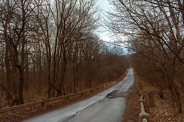 Image showing Road in the forest