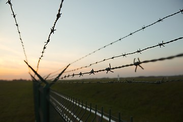 Image showing Barbed Wire