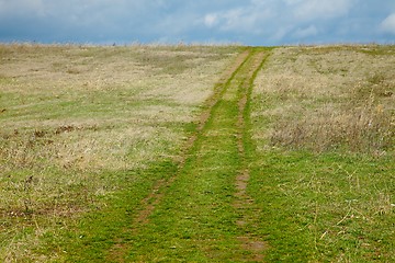 Image showing Field