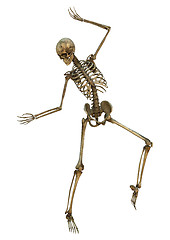 Image showing Dancing Skeleton