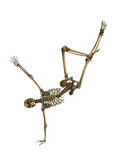 Image showing Dancing Skeleton