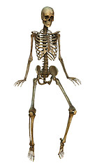 Image showing Dancing Skeleton