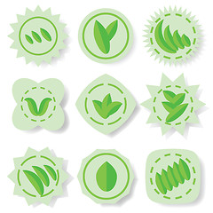 Image showing set of leaves icons