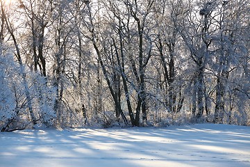 Image showing Winter Park