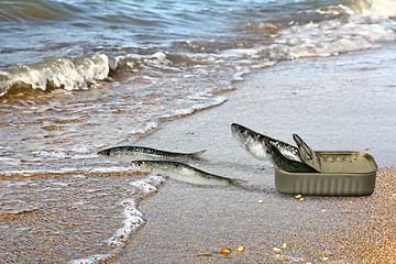 Image showing Canned sardines fleeing from cans