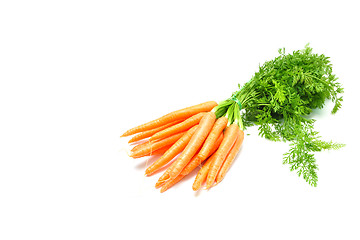 Image showing Fresh carrots