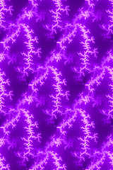 Image showing Bright purple Fractal