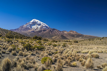 Image showing Nevado Sajama