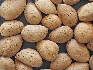 Image showing Almond fruit