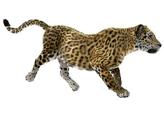 Image showing Jaguar