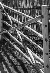 Image showing Wooden fence in the spring in the countryside