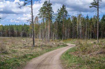 Image showing Country road the leader through a wood