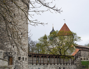 Image showing View of Tallinn spring day